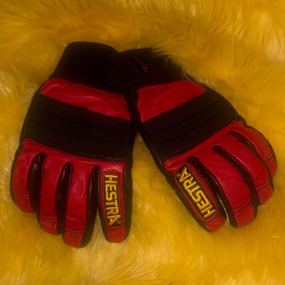 HESTRA leather ski gloves